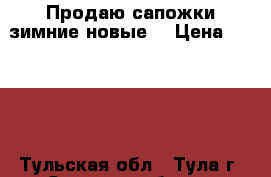 Продаю сапожки зимние новые  › Цена ­ 3 500 - Тульская обл., Тула г. Одежда, обувь и аксессуары » Женская одежда и обувь   